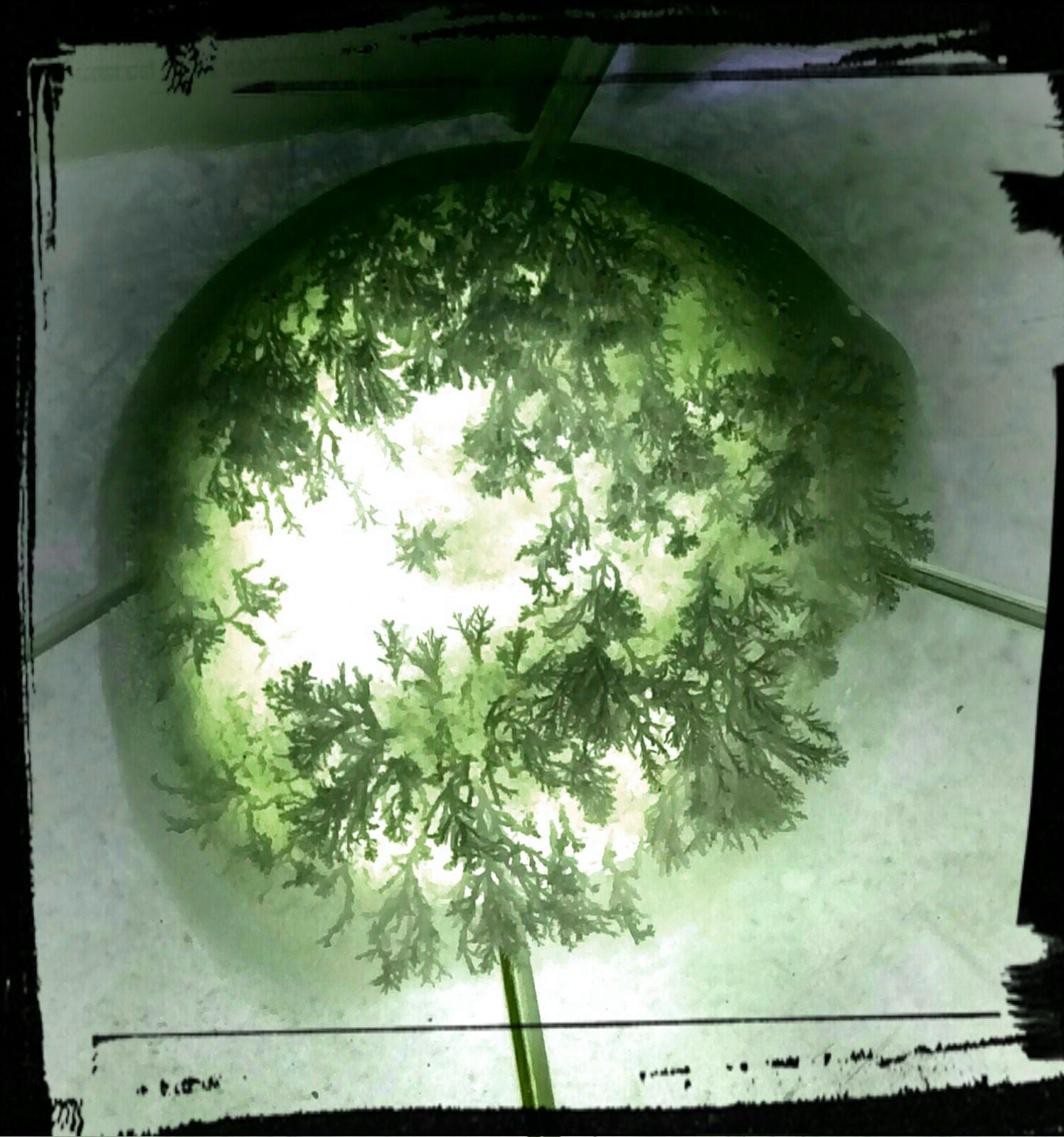 Chemistry Photo Contest 