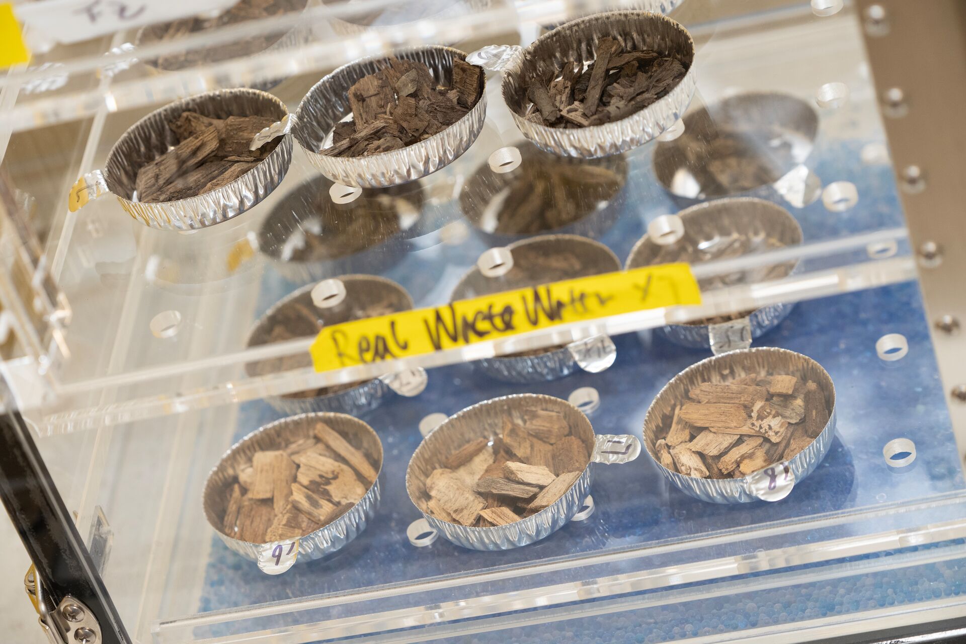 A close-up view inside a laboratory incubator or desiccator containing multiple small foil dishes filled with wood chip samples. The clear acrylic shelves are labeled with yellow tape reading "Real Waste Water," and the bottom of the chamber is lined with blue desiccant beads.