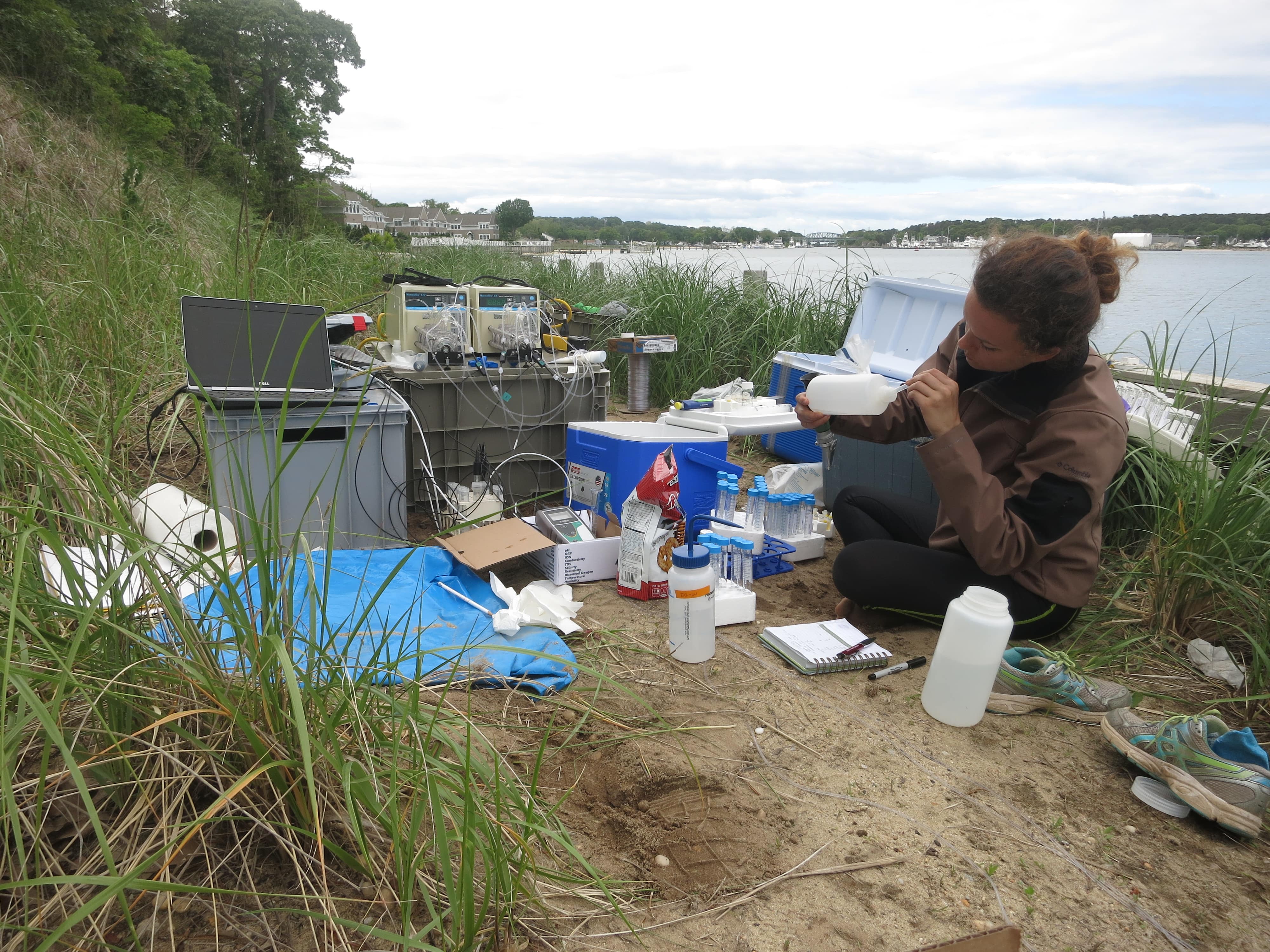 Student researcher analyzing water samples on a beach