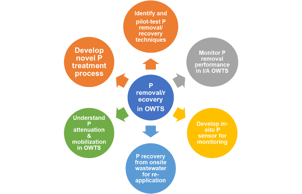Representation of phosphorus removal / recovery research development efforts