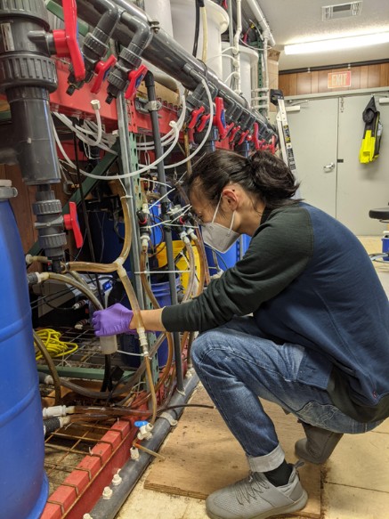 Student researcher setting up experiment