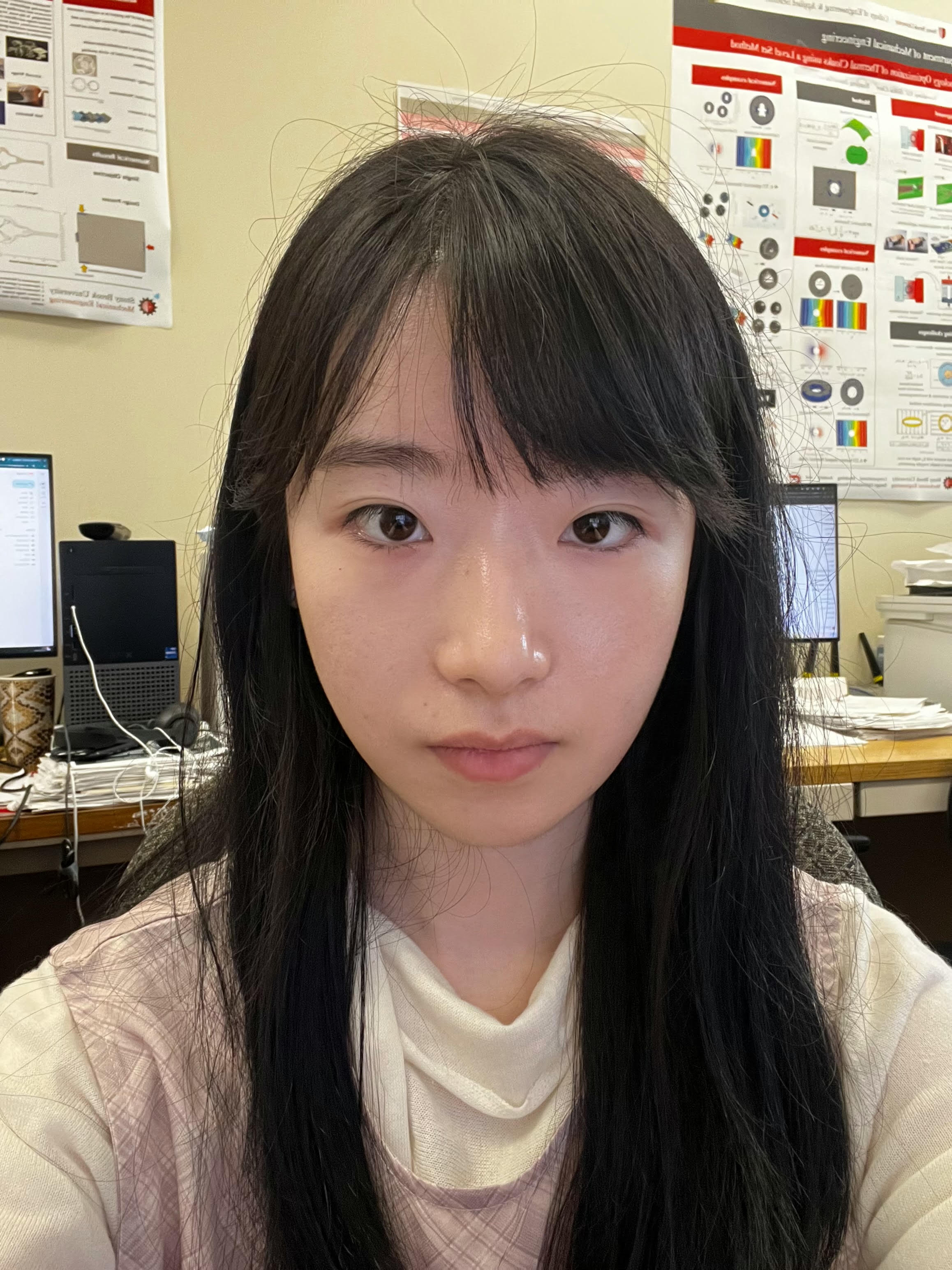 Meiwei Zhu