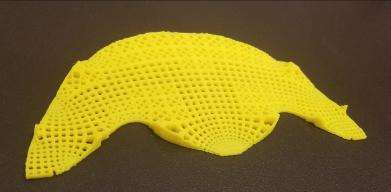 The 3D Printed MBB Beam