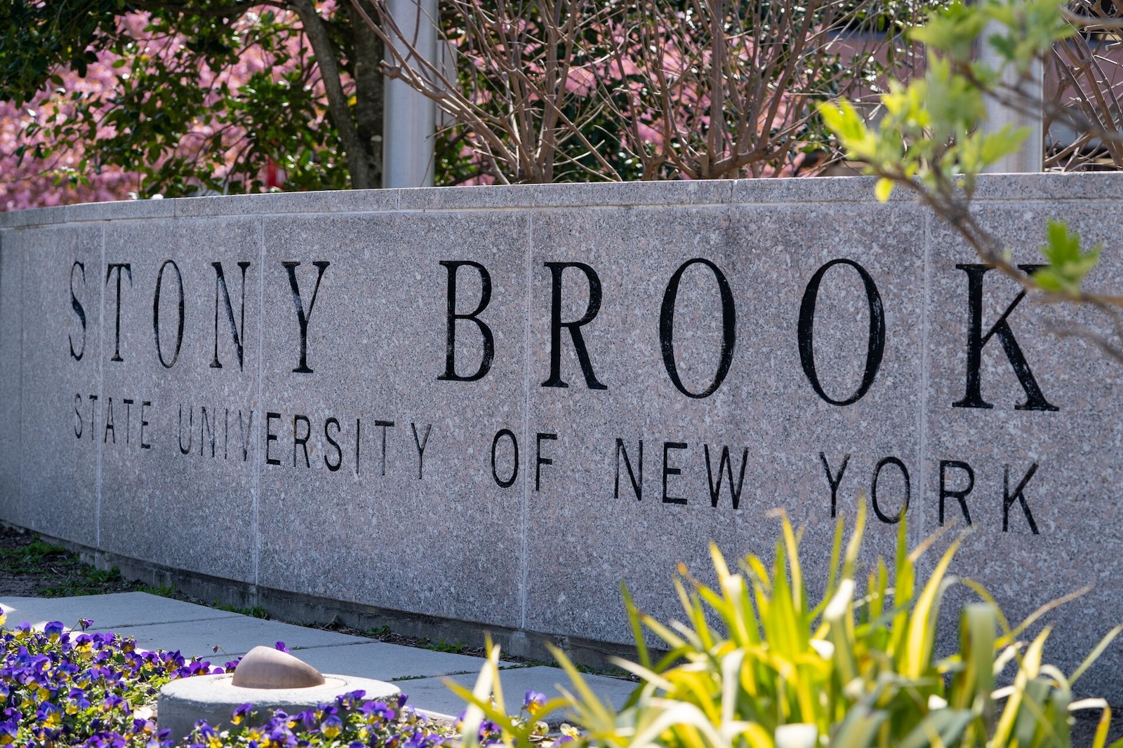 The Stony Brook University sign at the west entrance of campus