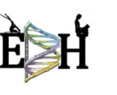 Human Evol Bio image