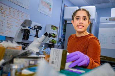 December 2024 Student Researcher