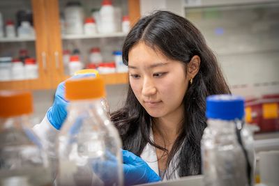 October 2024 Student Researcher