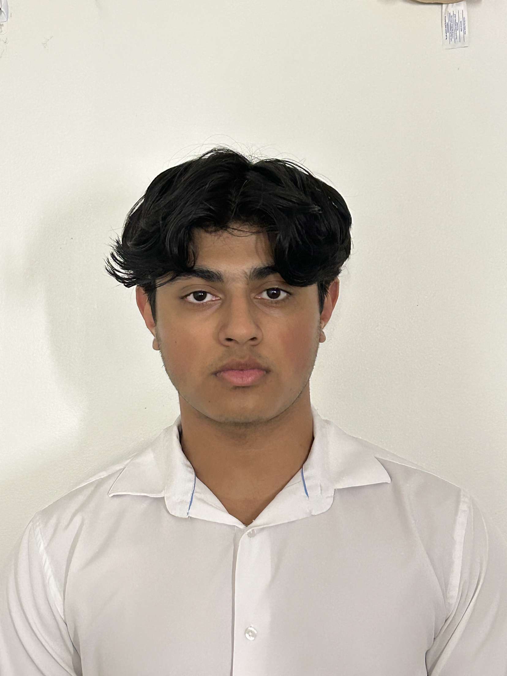 Meet the Mentors | CEAS Undergraduate Student Office