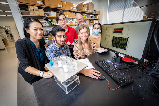 Rise in research and rankings