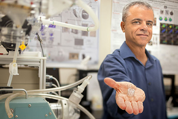 Danny Bluestein, Professor of Biomedical Engineering, Named BMES Fellow