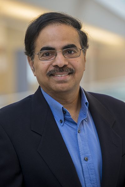 R. Sekar named SUNY Empire Innovation Professor in Cybersecurity