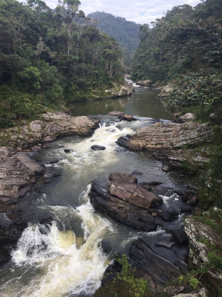 Ranomafana Waterfall 3