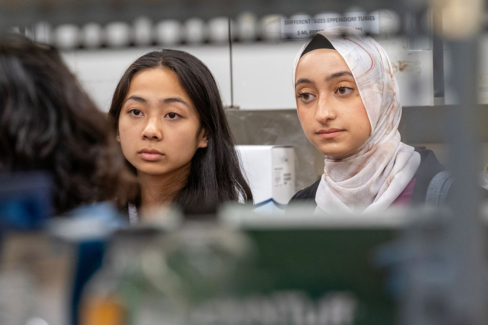 Simons STEM Scholars