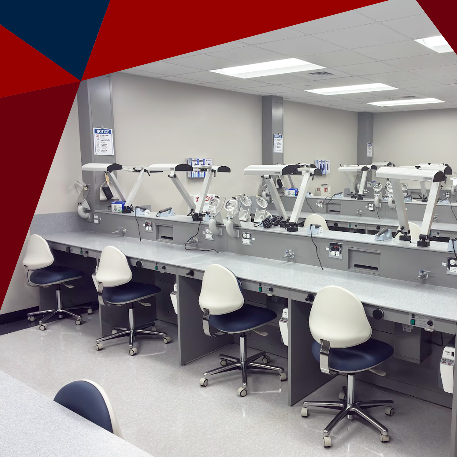 Dental Medicine Labs