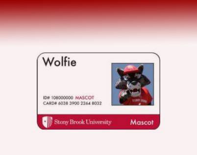 Wolfie holding a Stony Brook campus ID card