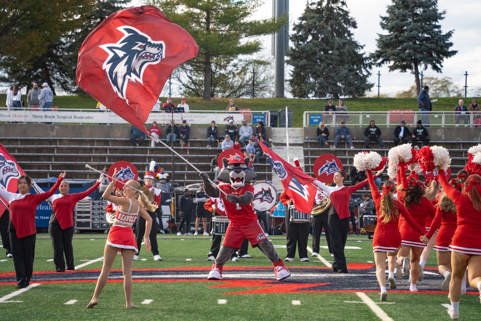 Wolfie waving a Stony Brook flag on the football field with cheerleaders and the marching band