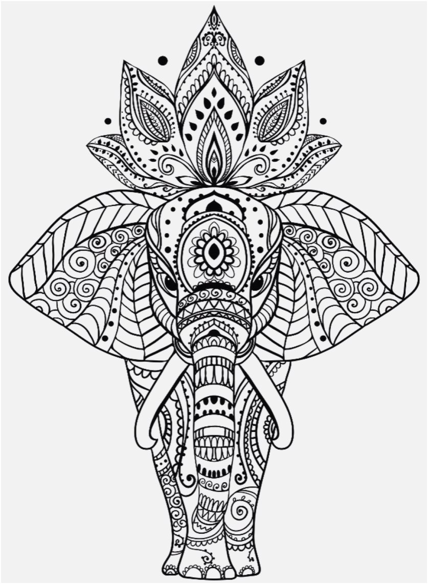 Coloring Sheet - Elephant