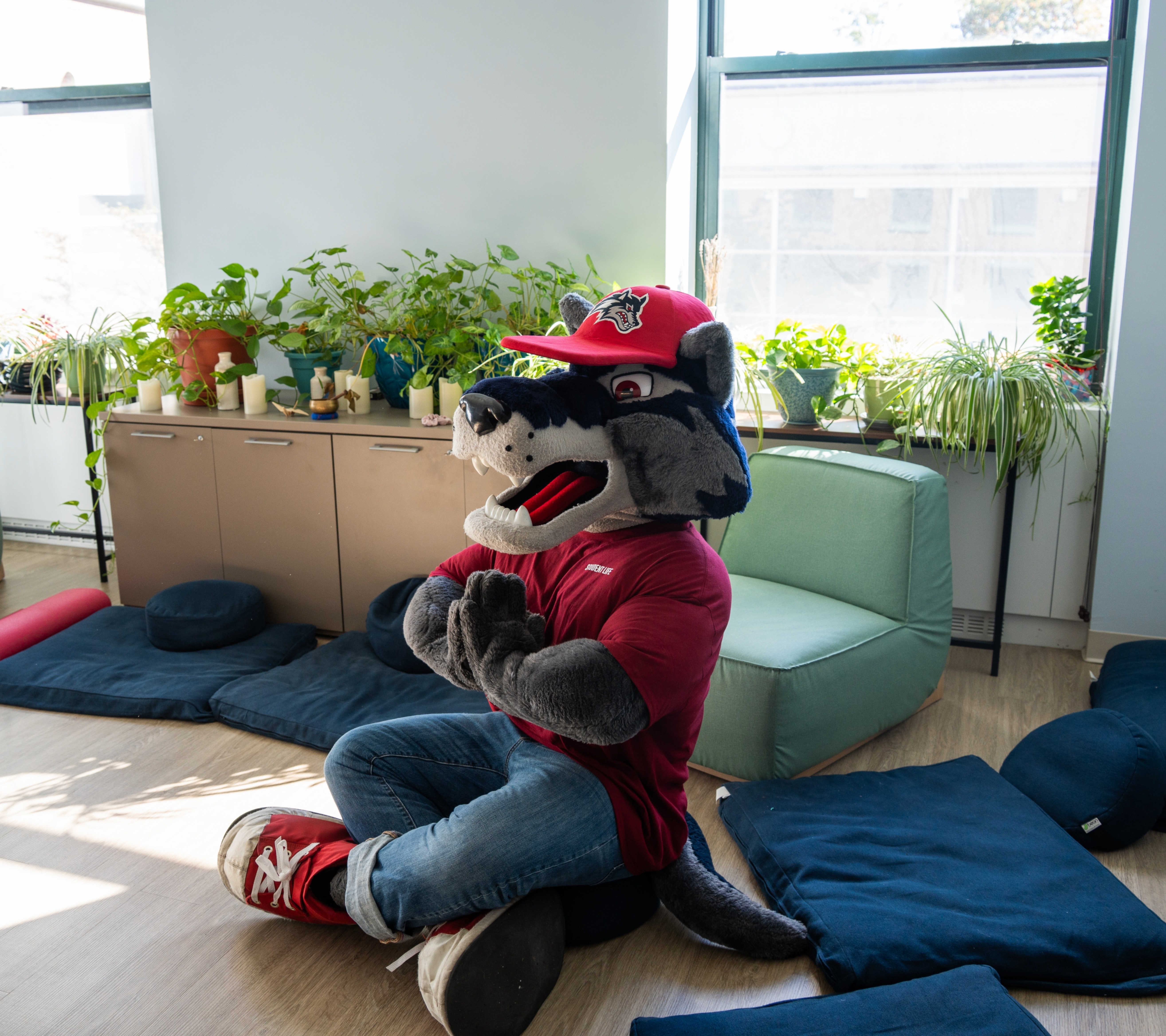 Wolfie Sitting Meditation