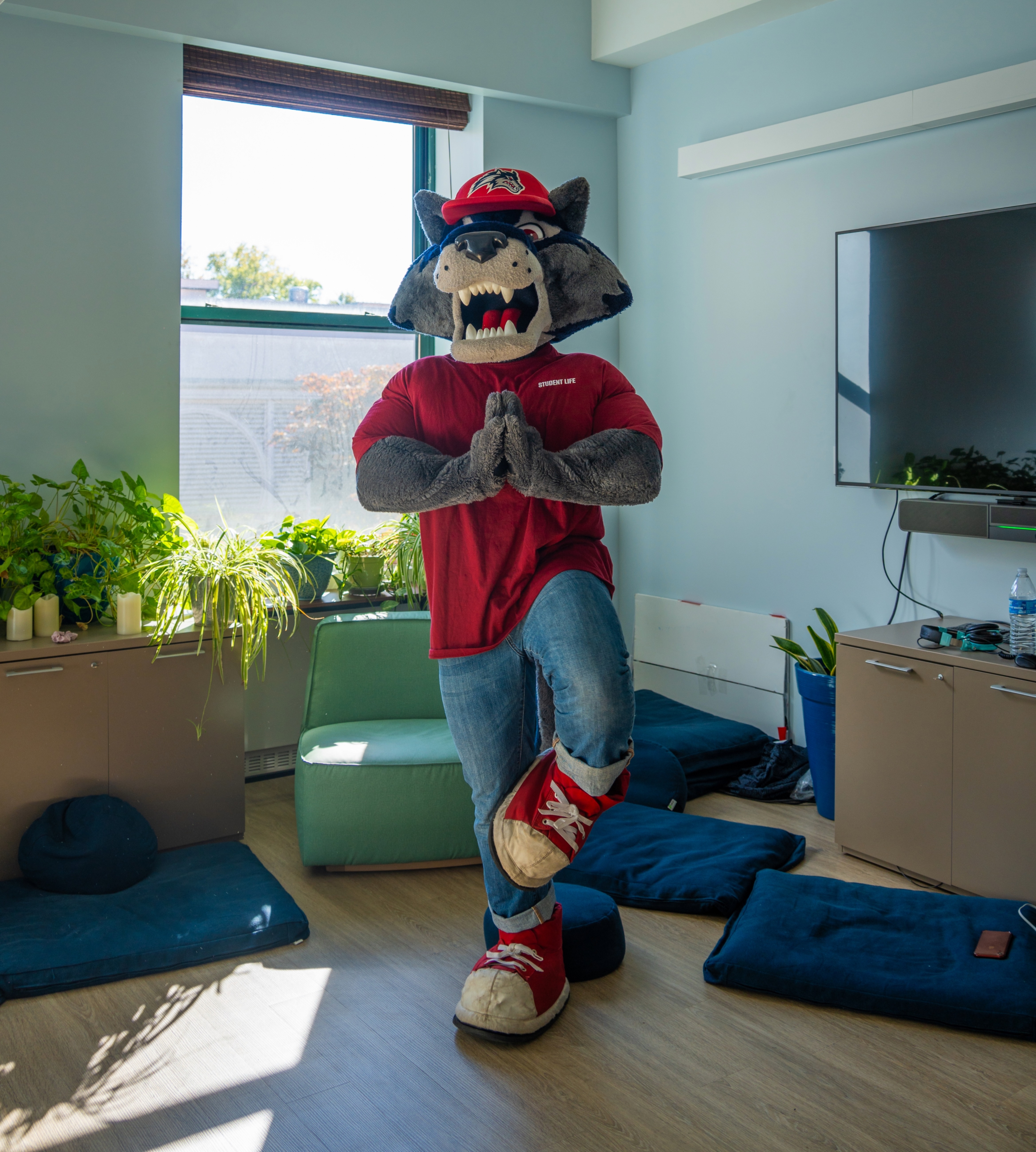 Wolfie Standing Meditation