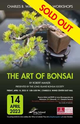 The Art of Bonsai poster