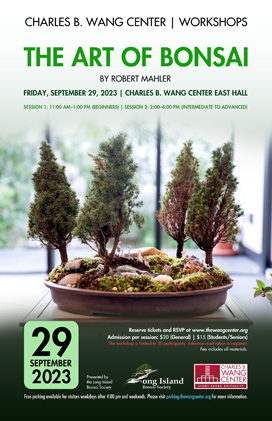 The Art of Bonsai poster