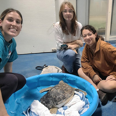A group of researchers with a rescue turtle.