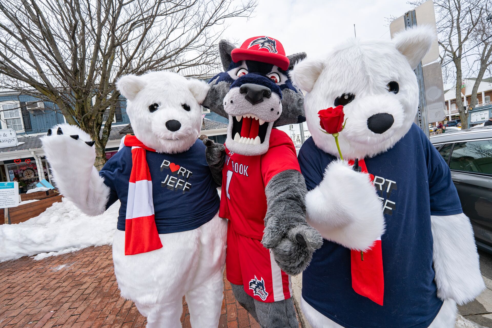 Stony Brook University Mascot Wolfie stands with two Port Jefferson Polar Bear Mascots