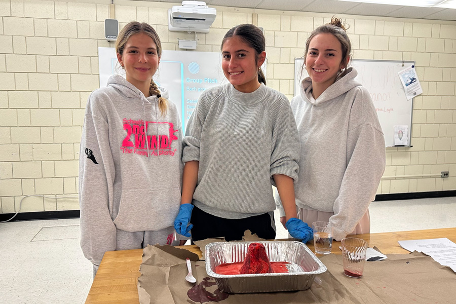 Students posing with their volcano project