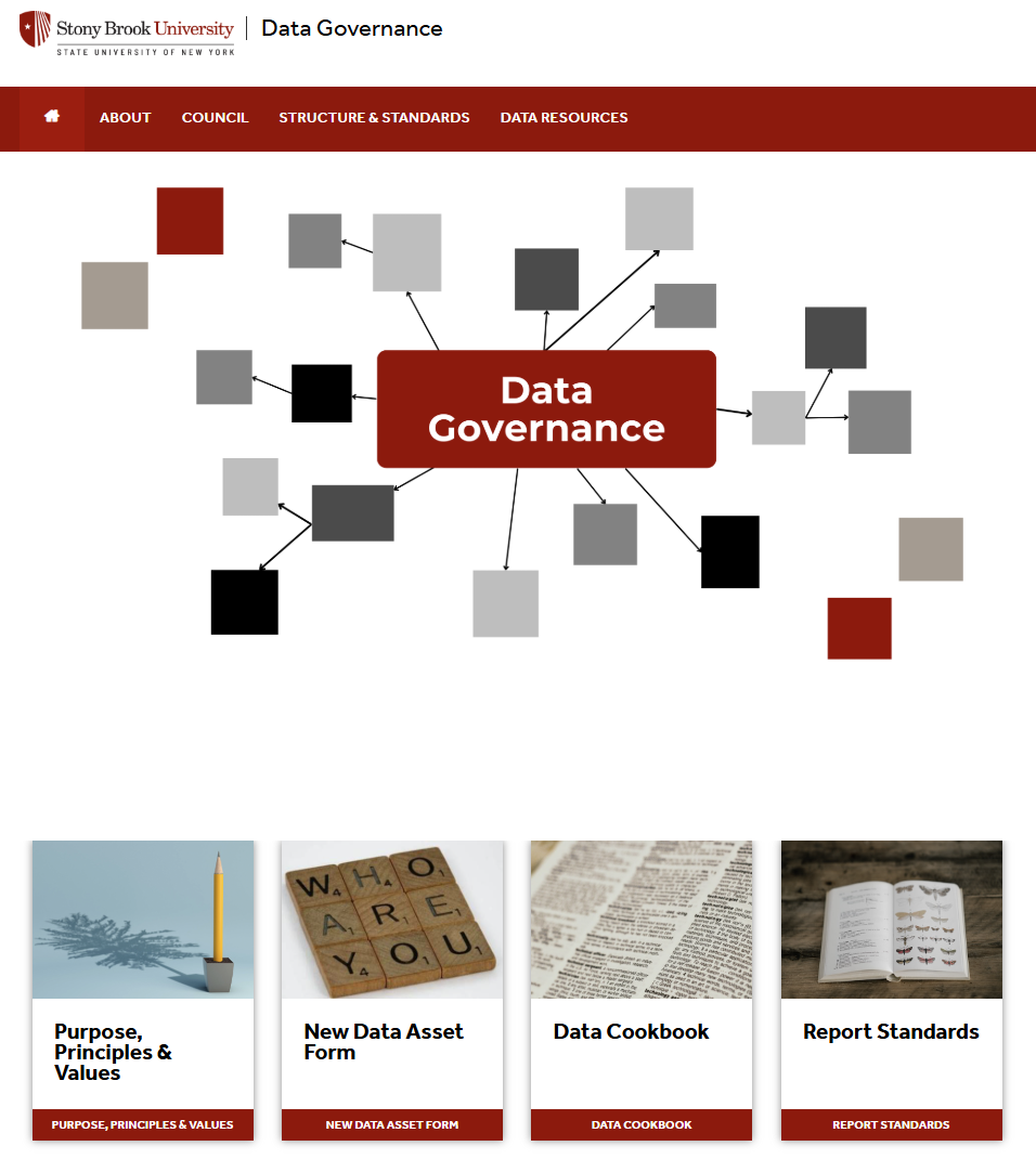 Snapshot of Data Governance website home page 
