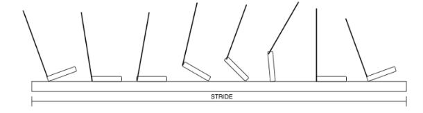 Development of a Machine Learning Algorithm to Predict the Path of Joints for Gait Rehabilitation