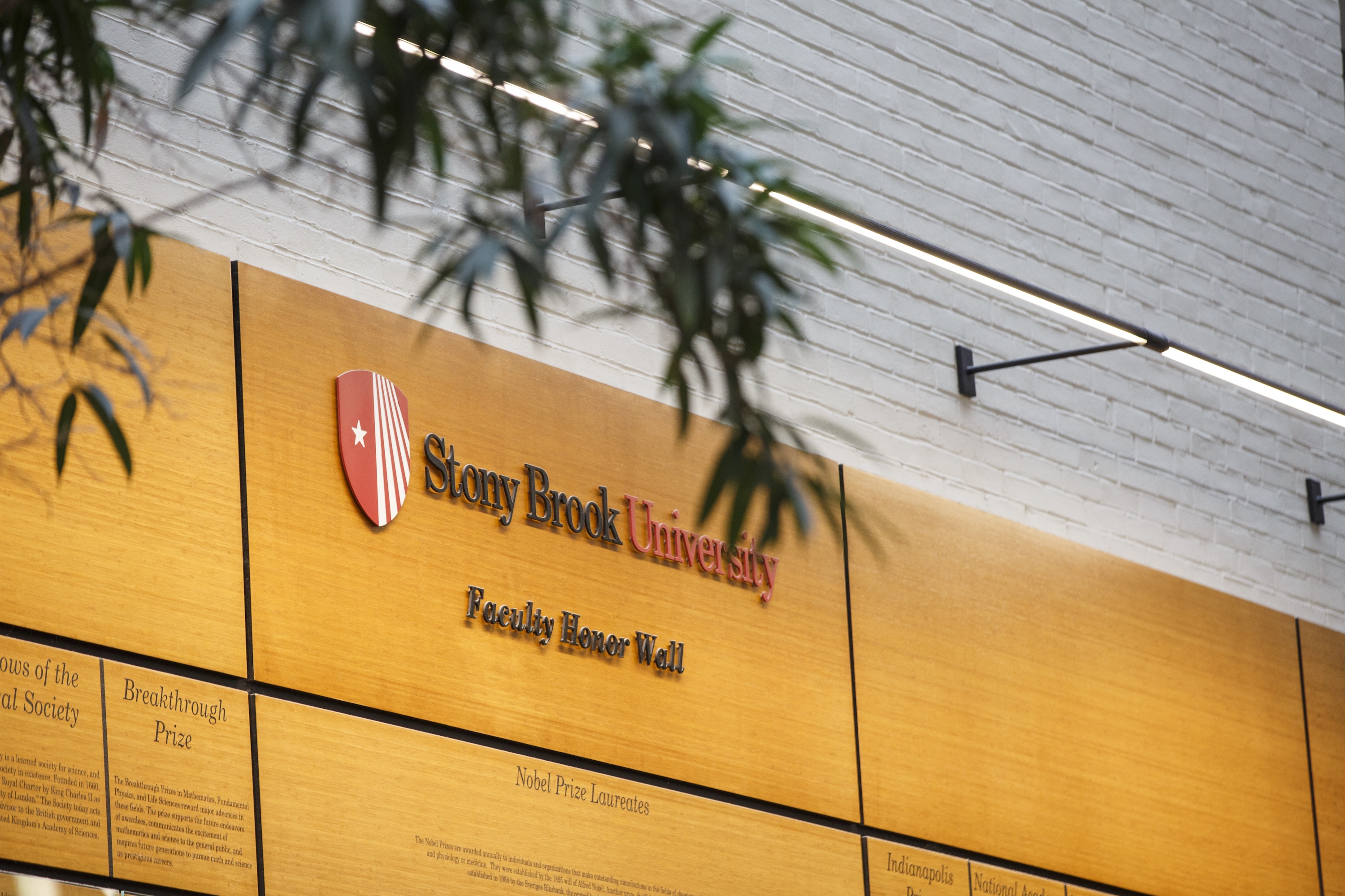 SBU Library