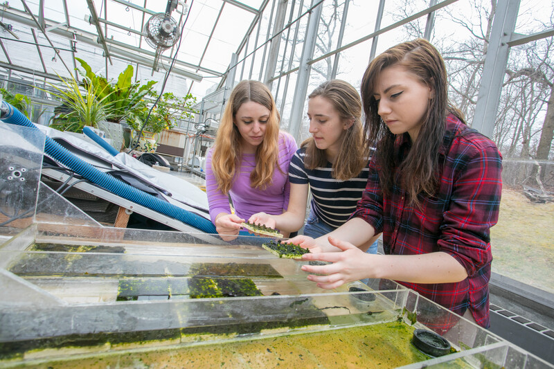 3 students in the lab