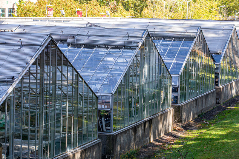 stony brook green house