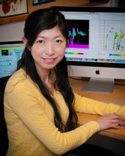 Headshot of Meng Wang
