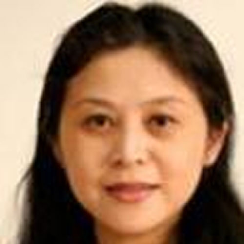 Headshot of Professor Xin Wang.