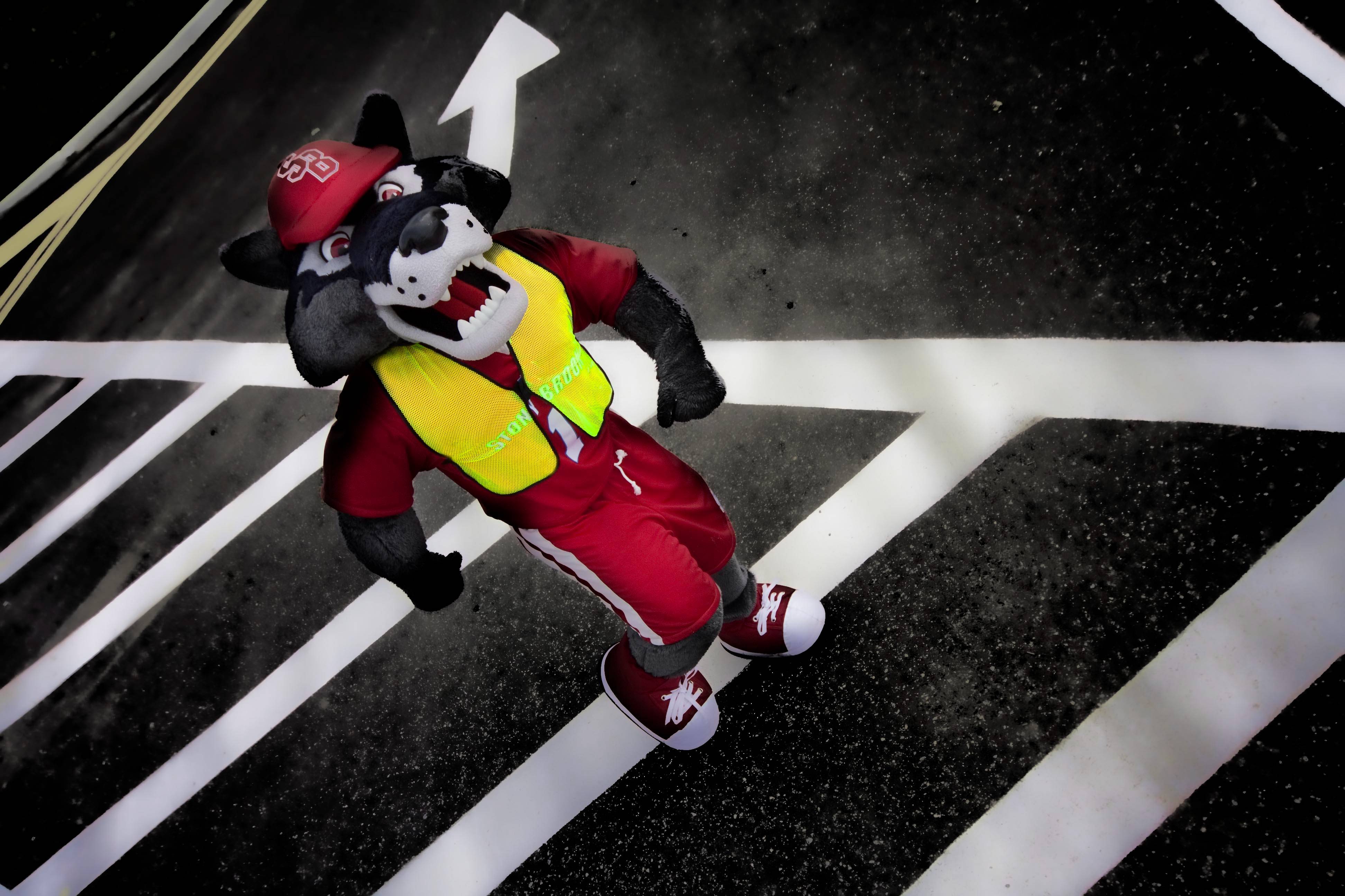 wolfie and a car