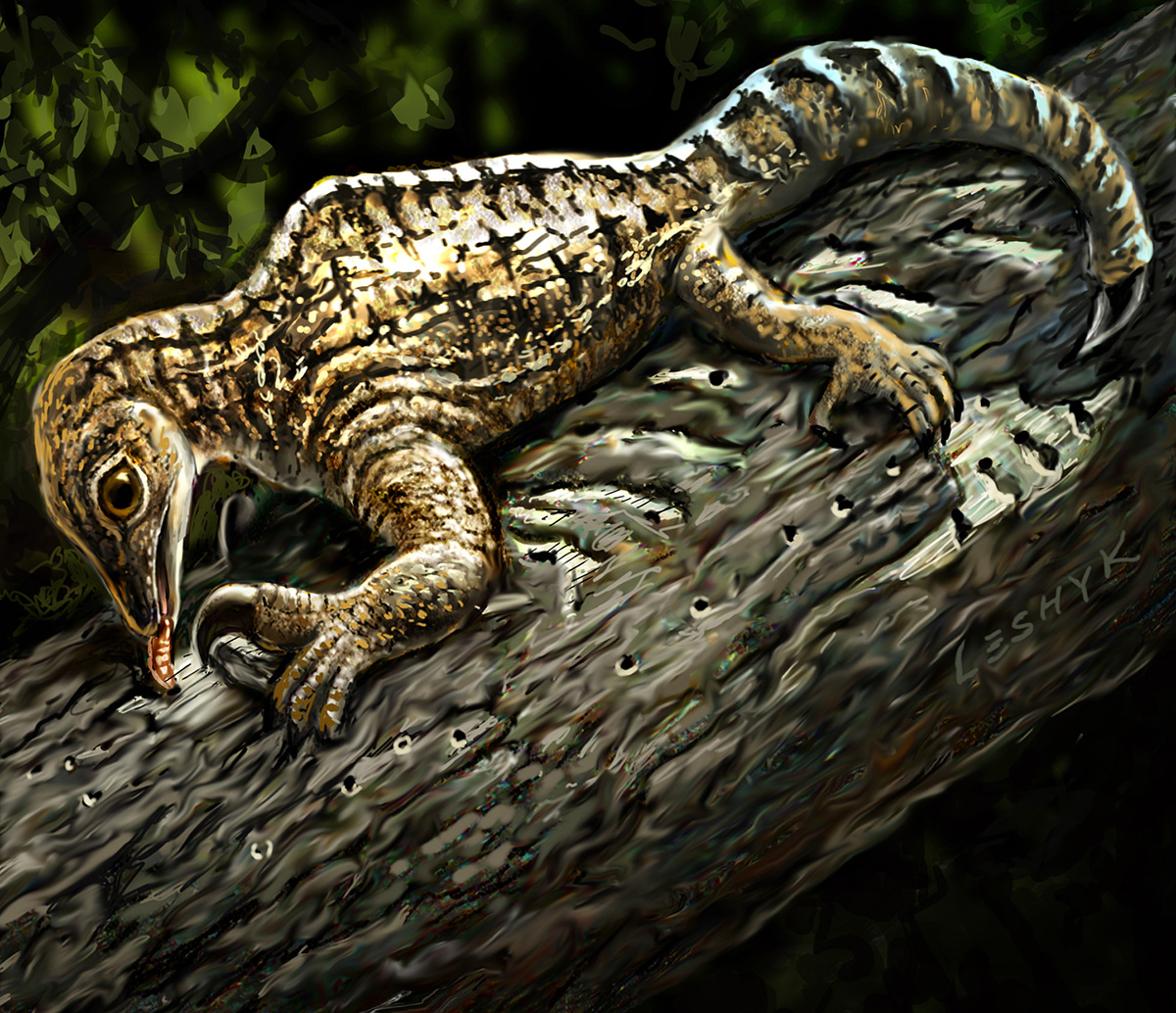drepanosaur