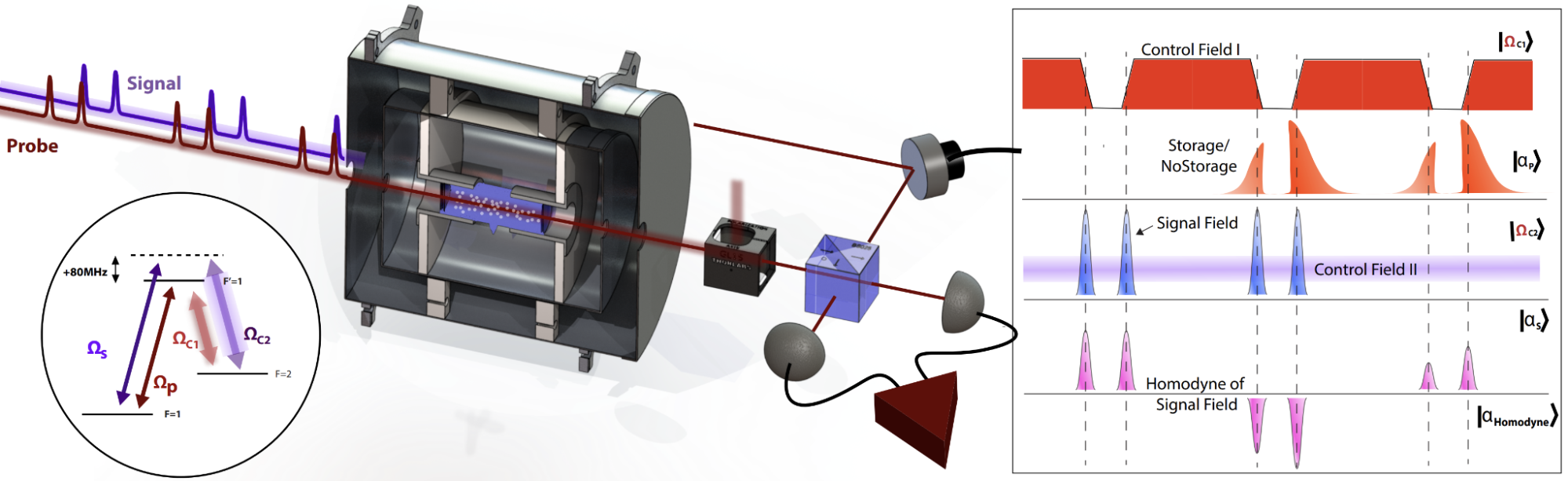 Schematic of a quantum memory experimental setup with laser fields, a vapor cell, and pulse timing graphs.