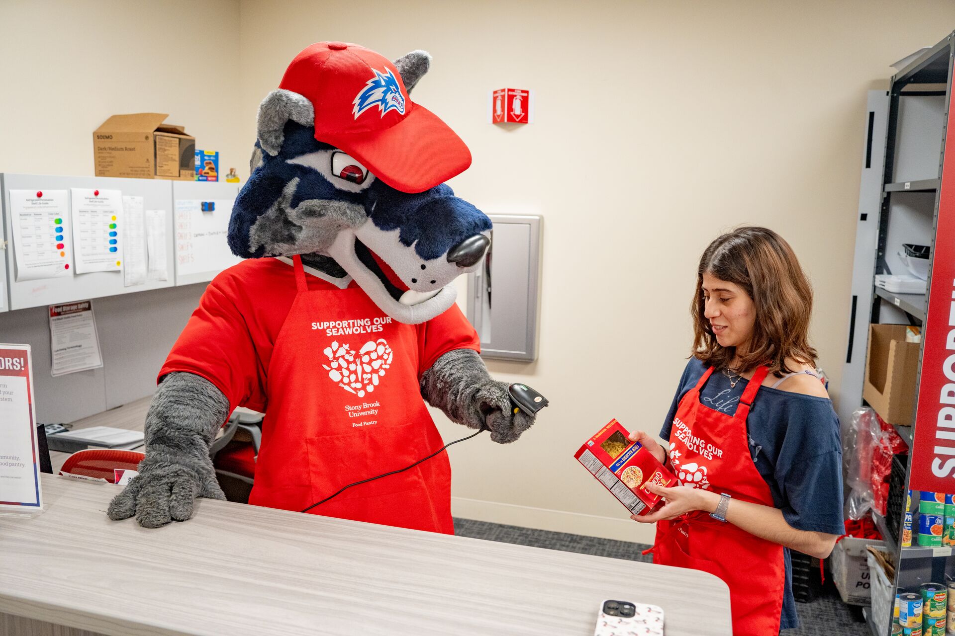 wolfie at pantry counter