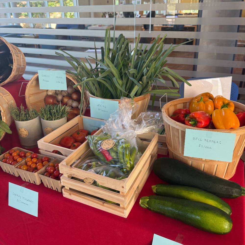 food entrepreneurship