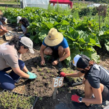 Garden Workers