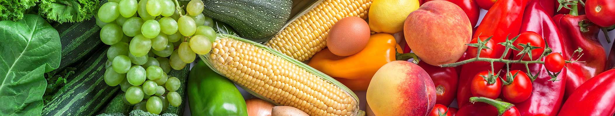 power up immune system