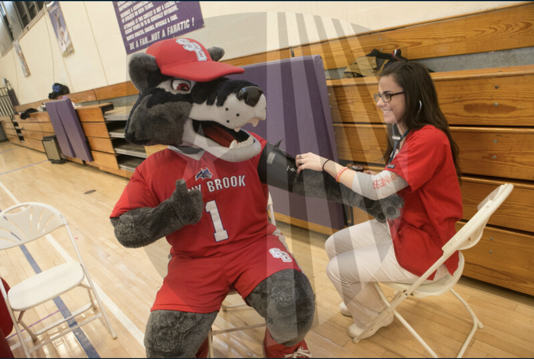 Wolfie Getting his Blood Pressure Taken