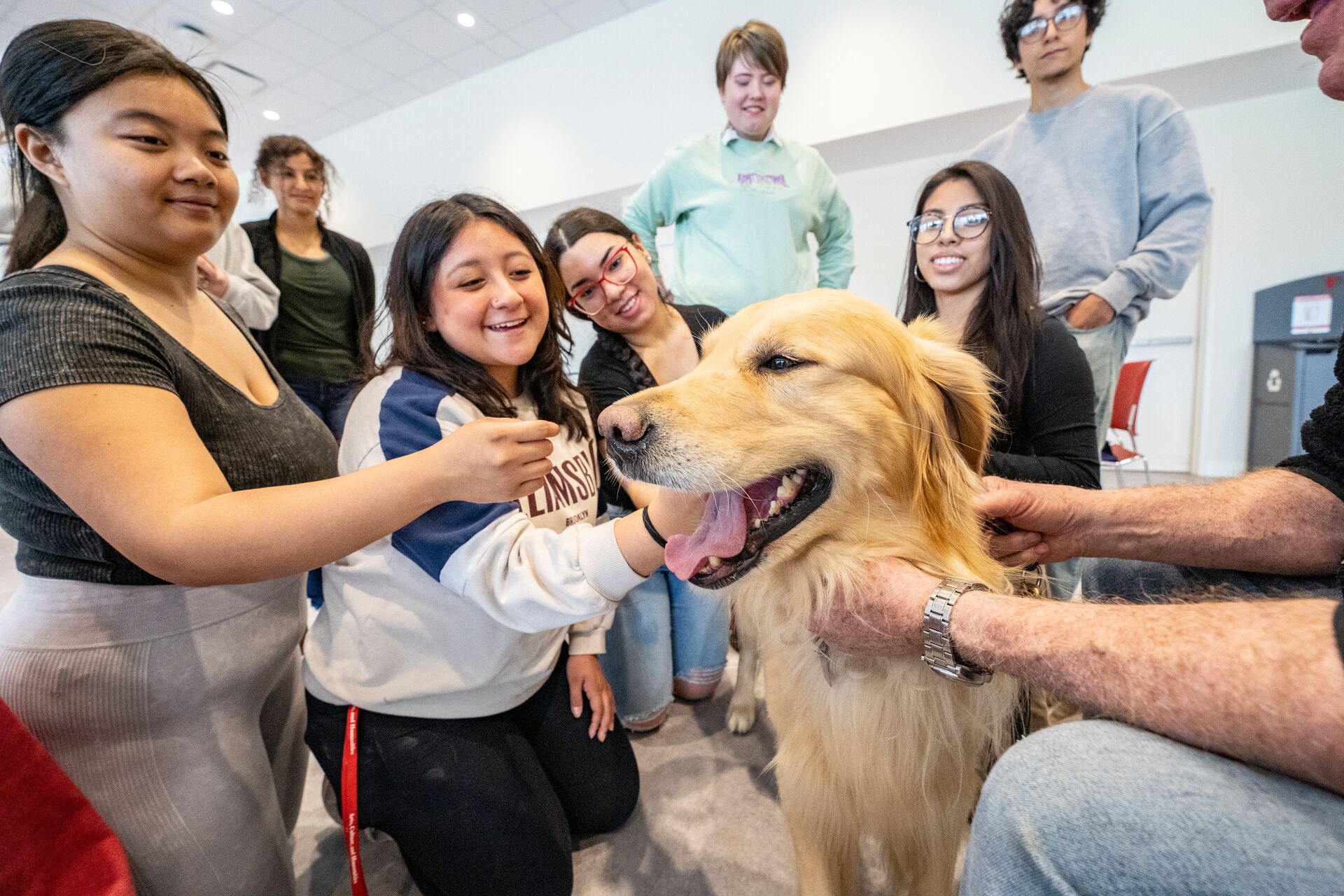 Many students sitting around and petting a golden retriever dog.