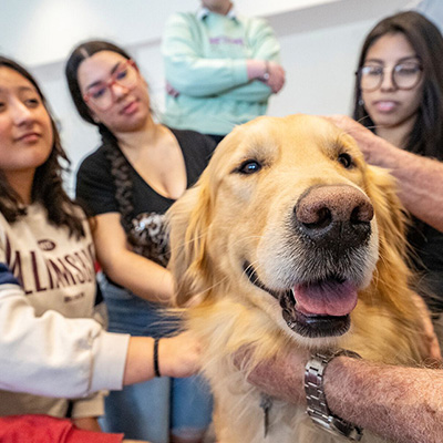 A golden retriever being pet by multiple students.