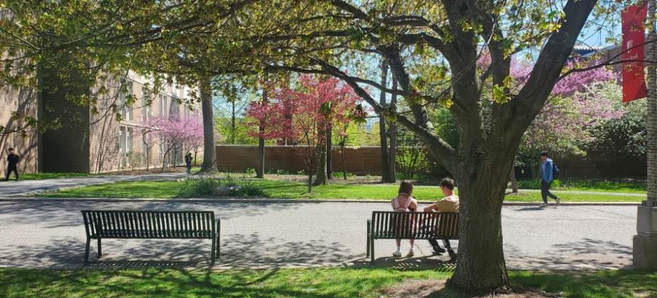 Two students sit on a bench under a tree on a sunny campus.