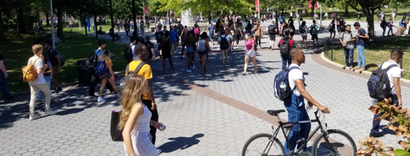 Students walk and cycle along a busy, sunlit campus pathway on a bright day.