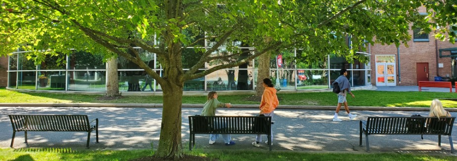 Students relax on benches along a sunlit, tree-lined campus path near a glass-walled building.