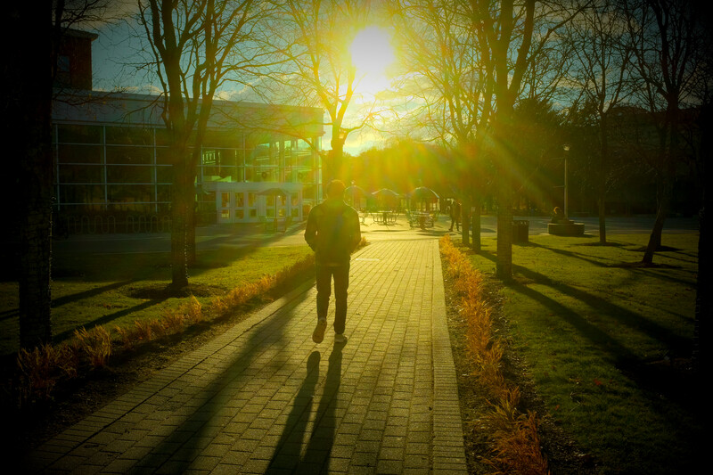 A student walking along a campus path beneath bright sunlight and bare trees