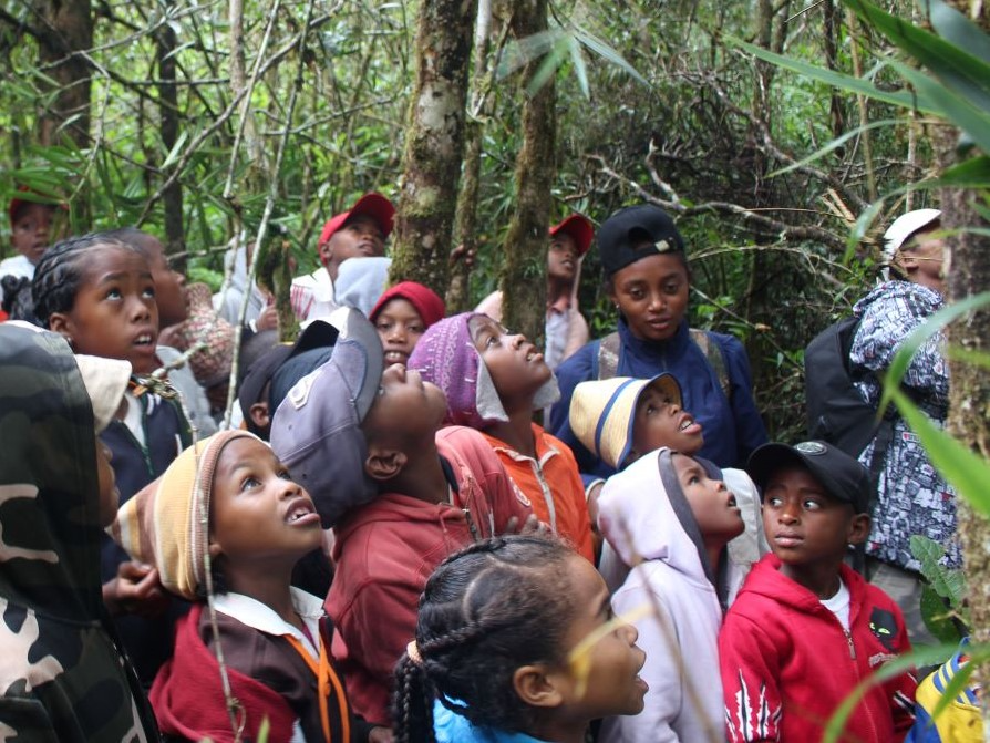 Lemur Day 2023 outreach at Ranomafana National Park